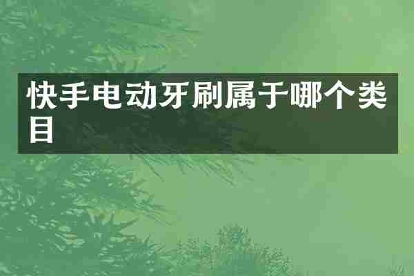 快手电动牙刷属于哪个类目