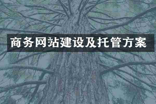 商务网站建设及托管方案