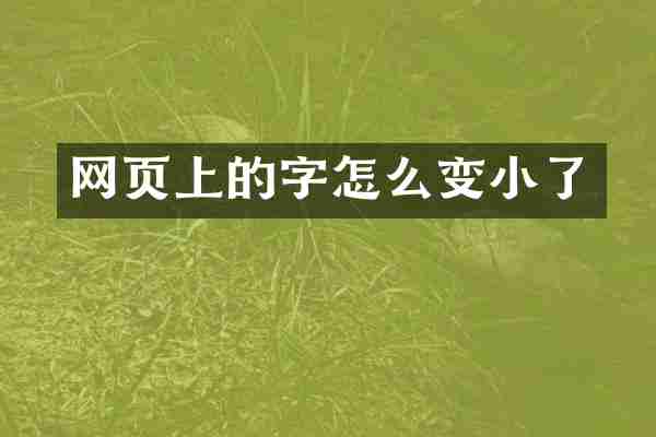 网页上的字怎么变小了