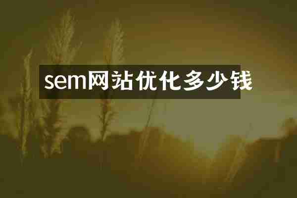 sem网站优化多少钱