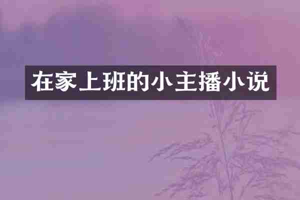 在家上班的小主播小说