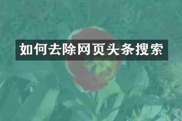 如何去除网页头条搜索