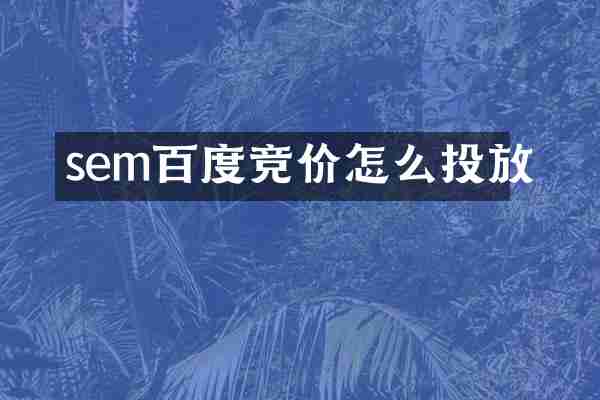 sem百度竞价怎么投放