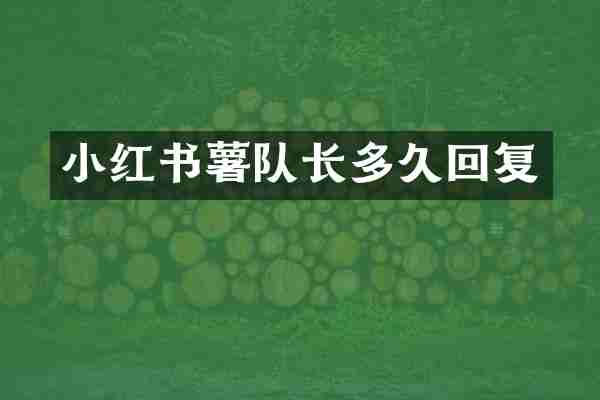 小红书薯队长多久回复