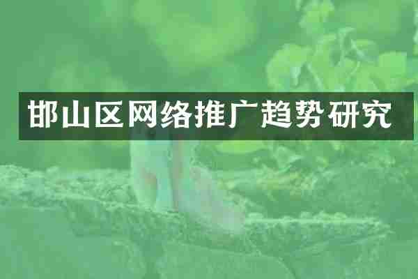 邯山区网络推广趋势研究