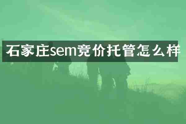 石家庄sem竞价托管怎么样