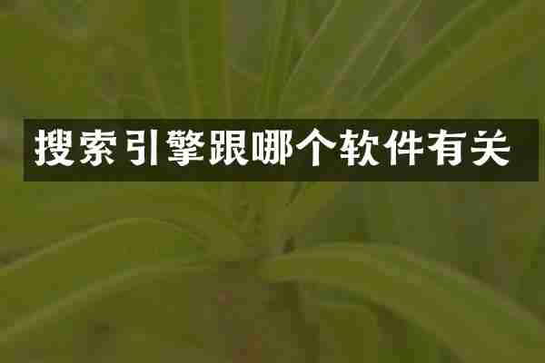 搜索引擎跟哪个软件有关