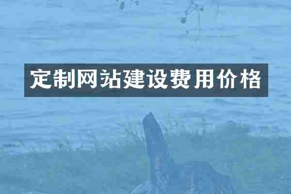定制网站建设费用价格