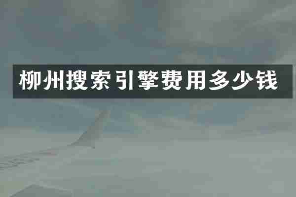柳州搜索引擎费用多少钱