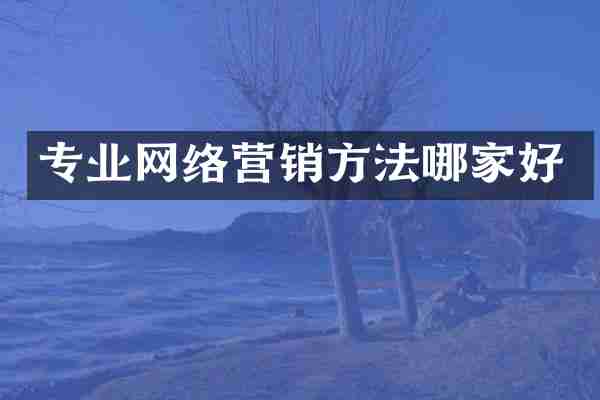 专业网络营销方法哪家好