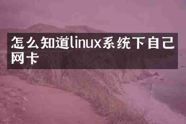 怎么知道linux系统下自己的网卡