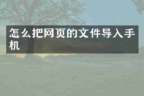 怎么把网页的文件导入手机