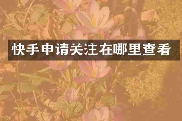 快手申请关注在哪里查看