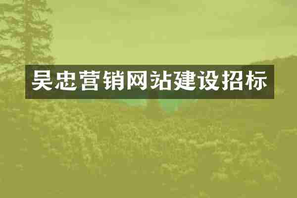 吴忠营销网站建设招标