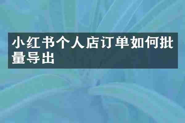 小红书个人店订单如何批量导出