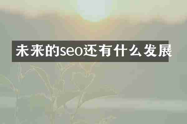 未来的seo还有什么发展