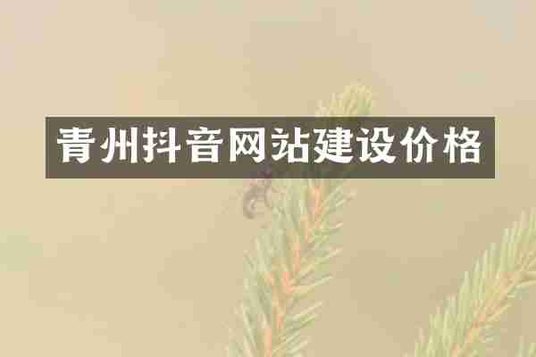 青州抖音网站建设价格