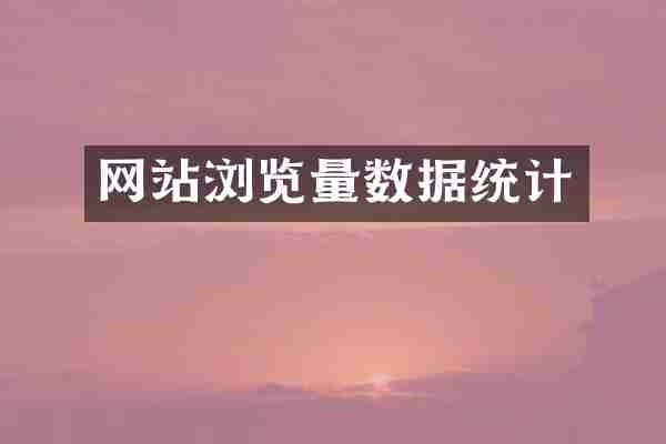 网站浏览量数据统计
