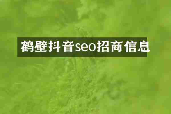鹤壁抖音seo招商信息