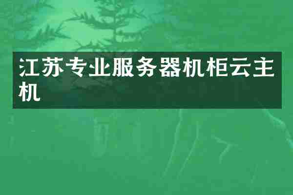 江苏专业服务器机柜云主机