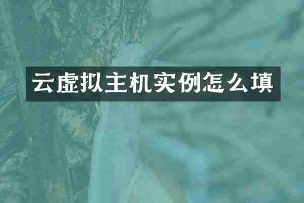 云虚拟主机实例怎么填