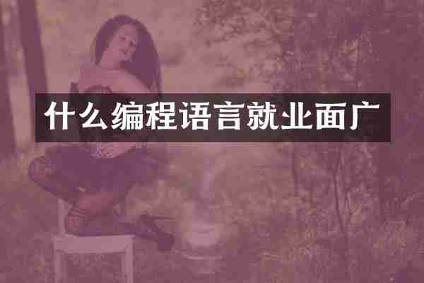 什么编程语言就业面广