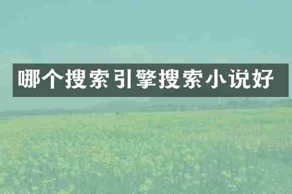 哪个搜索引擎搜索小说好