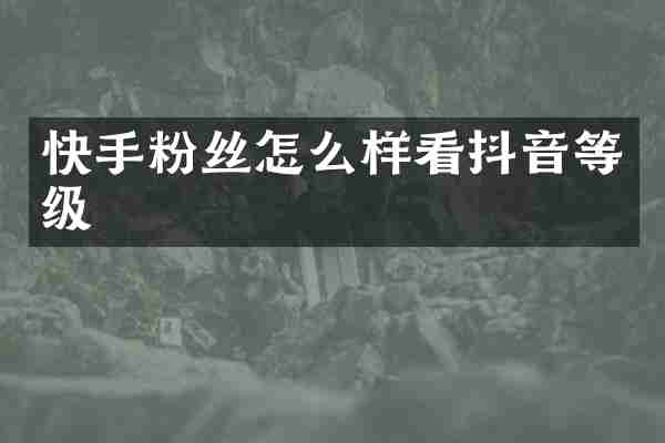 快手粉丝怎么样看抖音等级