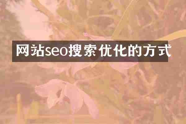 网站seo搜索优化的方式
