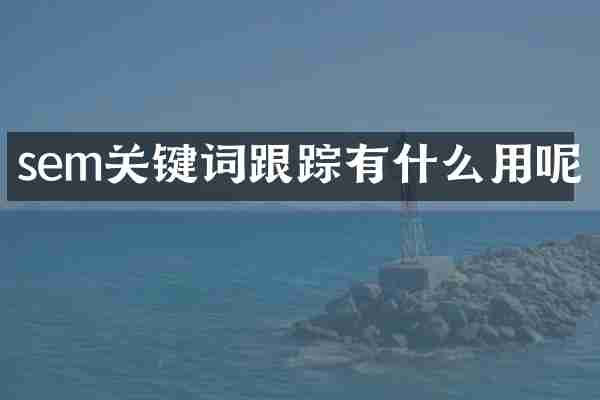 sem关键词跟踪有什么用呢