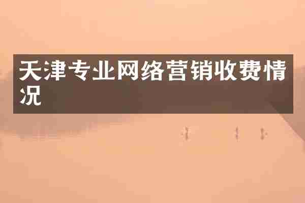 天津专业网络营销收费情况