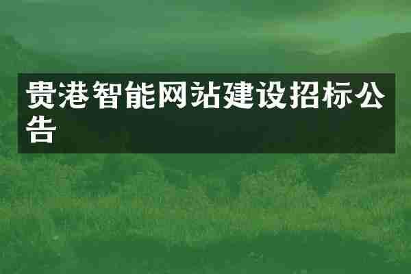 贵港智能网站建设招标公告