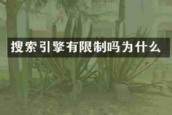搜索引擎有限制吗为什么