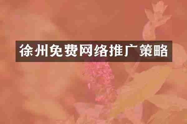 徐州免费网络推广策略