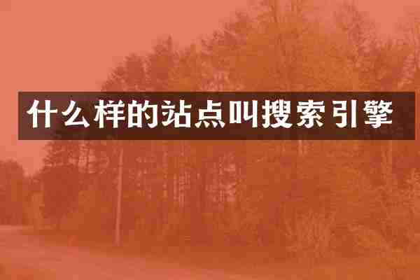 什么样的站点叫搜索引擎