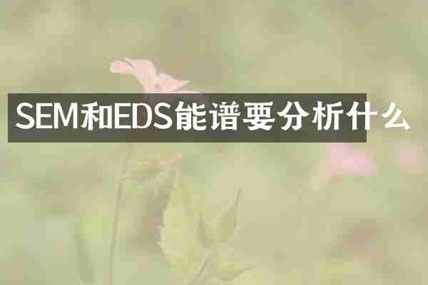 SEM和EDS能谱要分析什么