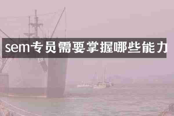 sem专员需要掌握哪些能力