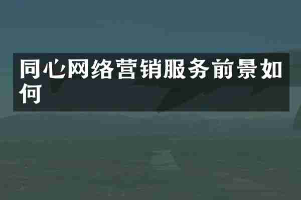 同心网络营销服务前景如何