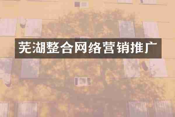 芜湖整合网络营销推广