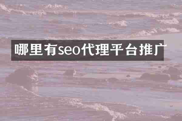 哪里有seo代理平台推广