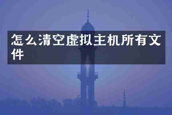 怎么清空虚拟主机所有文件
