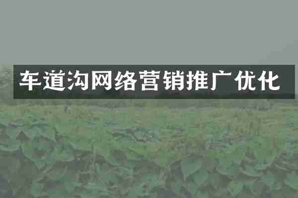 车道沟网络营销推广优化