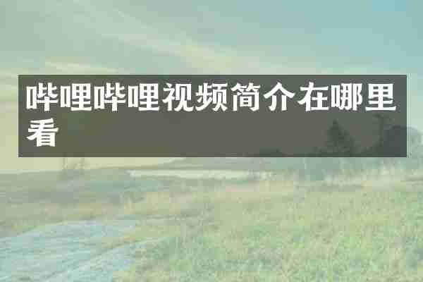 哔哩哔哩视频简介在哪里看