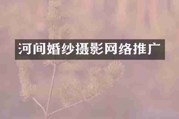 河间婚纱摄影网络推广