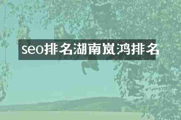 seo排名湖南岚鸿排名