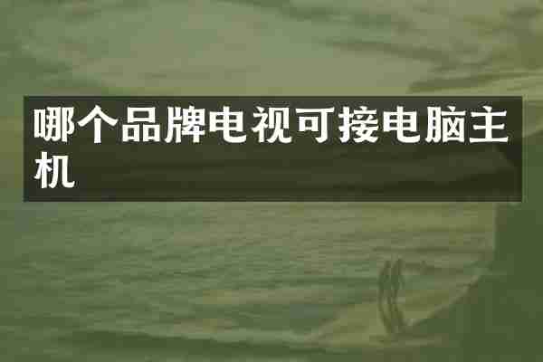 哪个品牌电视可接电脑主机