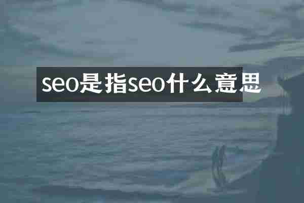 seo是指seo什么意思