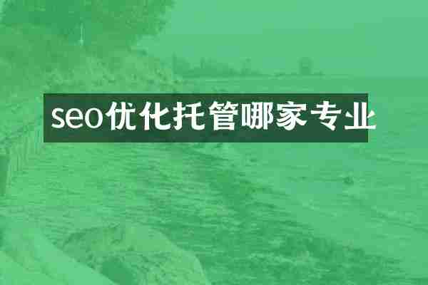 seo优化托管哪家专业