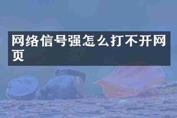 网络信号强怎么打不开网页