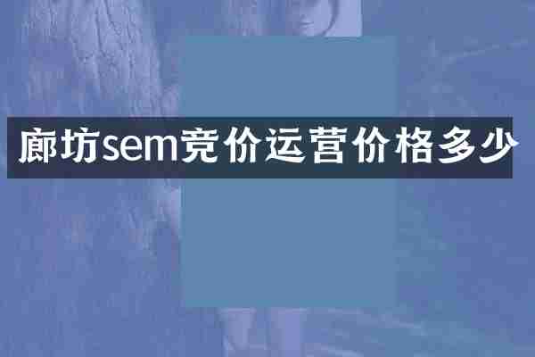 廊坊sem竞价运营价格多少